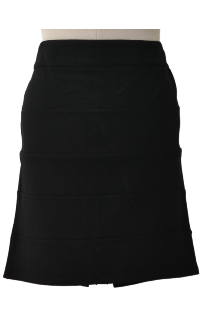 Black  A-Line Skirt